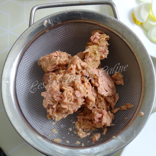 Salade de tomates, thon et oeufs07