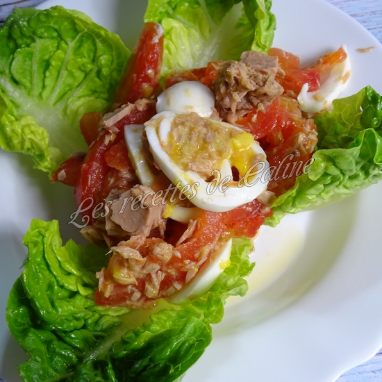 Salade de tomates, thon et oeufs12