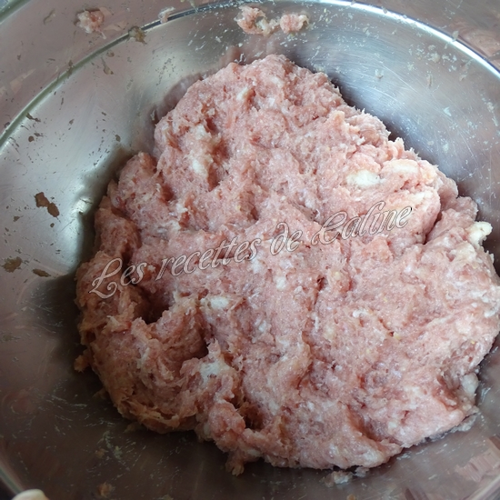 One pot nouilles asiatiques, champignons et boulettes de dinde09