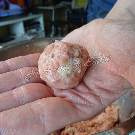 One pot nouilles asiatiques, champignons et boulettes de dinde10