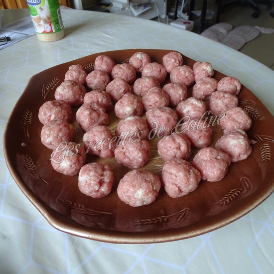 One pot nouilles asiatiques, champignons et boulettes de dinde11