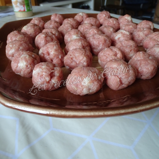 One pot nouilles asiatiques, champignons et boulettes de dinde12