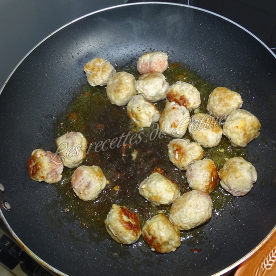 One pot nouilles asiatiques, champignons et boulettes de dinde15