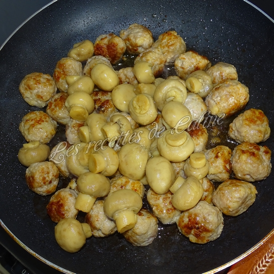 One pot nouilles asiatiques, champignons et boulettes de dinde16