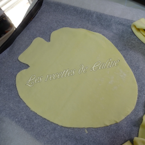 Tarte fine aux rillettes de saumon et radis02