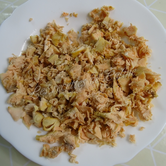 Tarte fine aux rillettes de saumon et radis05