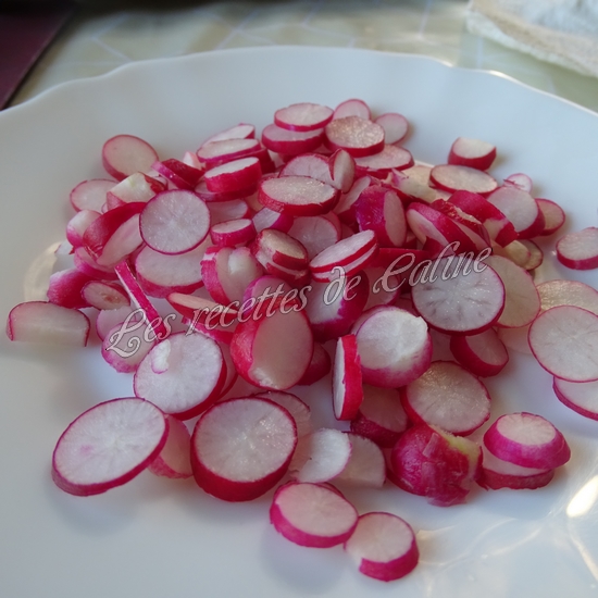 Tarte fine aux rillettes de saumon et radis14