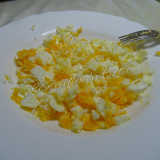 Chaussons au thon cuisson à la poêle21