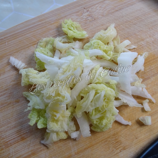 Gyozas aux légumes03