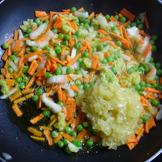 Gyozas aux légumes06