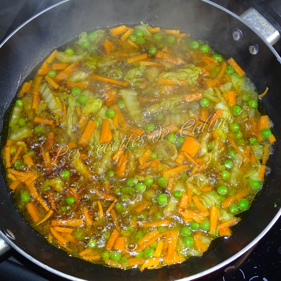 Gyozas aux légumes09