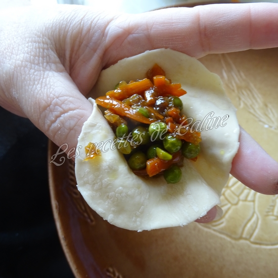 Gyozas aux légumes14