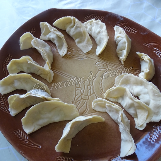 Gyozas aux légumes15