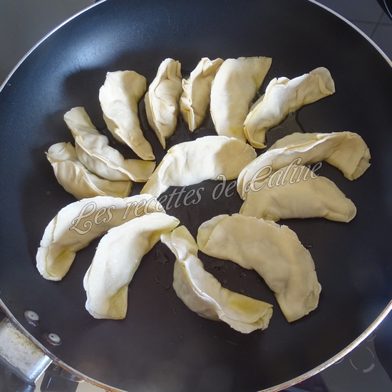 Gyozas aux légumes17