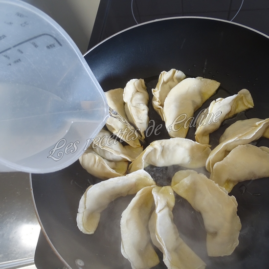 Gyozas aux légumes18