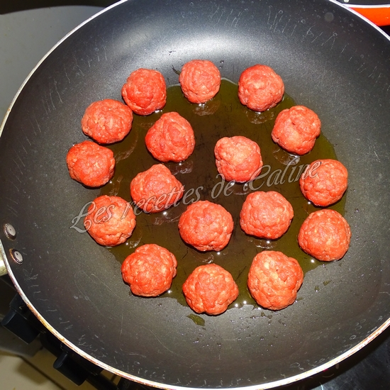 Mijoté de boulettes de boeuf au cumin05