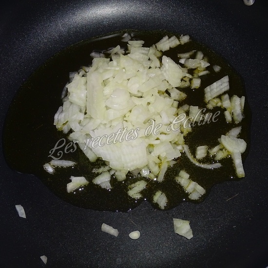 Mijoté de boulettes de boeuf au cumin09