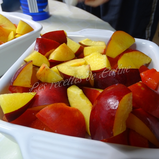 Cabillaud aux tomates et nectarines11