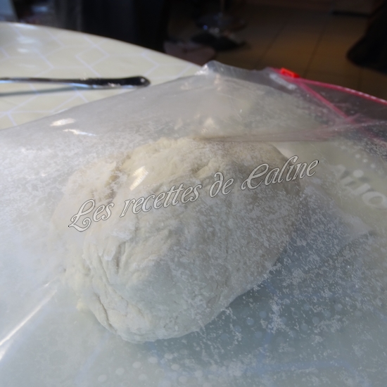 Ramen de boeuf aux nouilles udon06