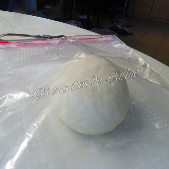 Ramen de boeuf aux nouilles udon10