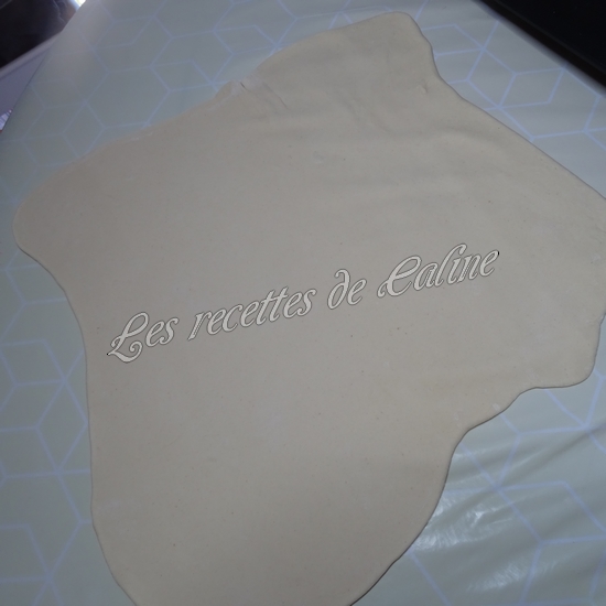 Ramen de boeuf aux nouilles udon21