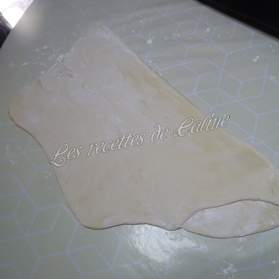 Ramen de boeuf aux nouilles udon22