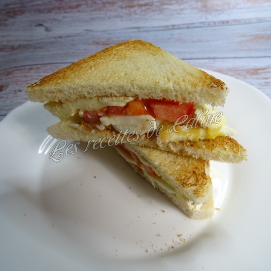 Sandwich au camembert16