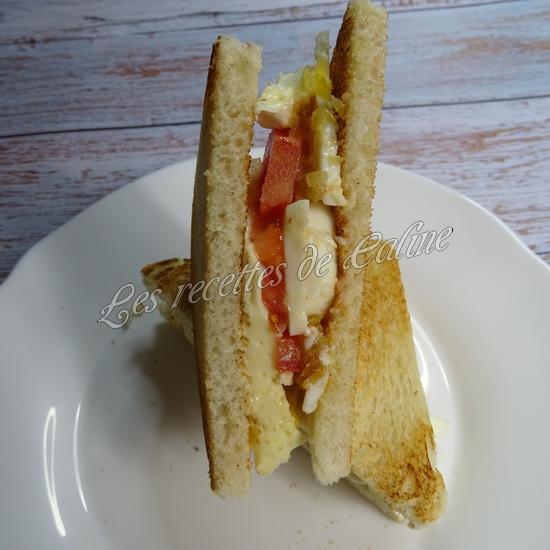 Sandwich au camembert17