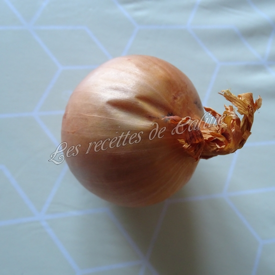 Tuna melt sandwich américain thon &amp; cheddar01