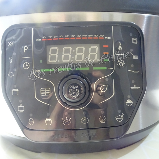 Autocuiseur programmable GM modèle H Ovall04