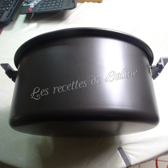 Autocuiseur programmable GM modèle H Ovall08