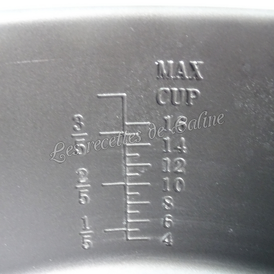 Autocuiseur programmable GM modèle H Ovall09