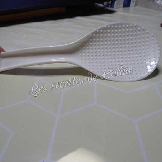 Autocuiseur programmable GM modèle H Ovall14