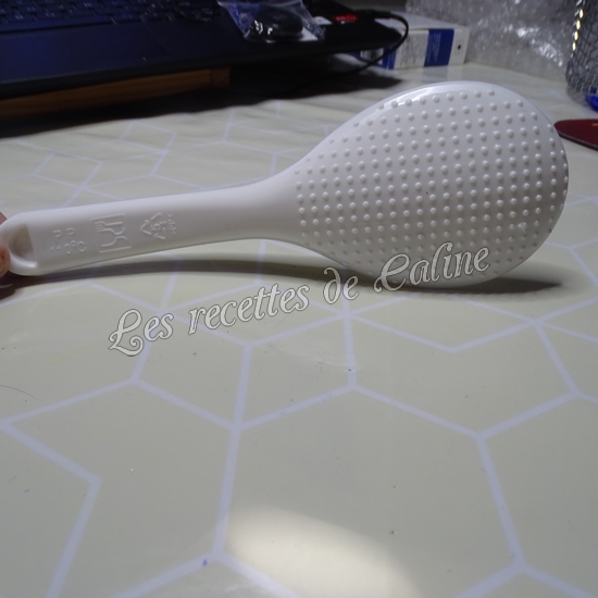 Autocuiseur programmable GM modèle H Ovall15