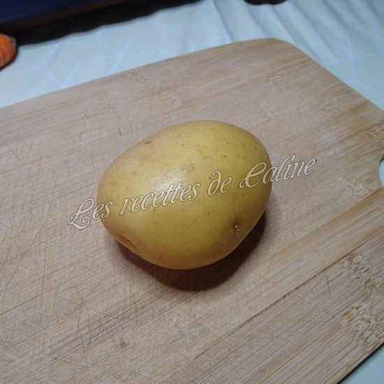 Brick au poulet, pomme de terre et carotte04