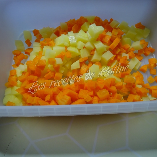 Brick au poulet, pomme de terre et carotte07