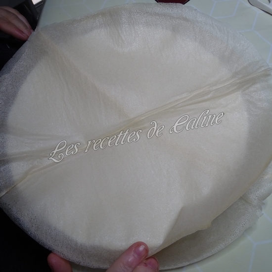 Brick au poulet, pomme de terre et carotte23