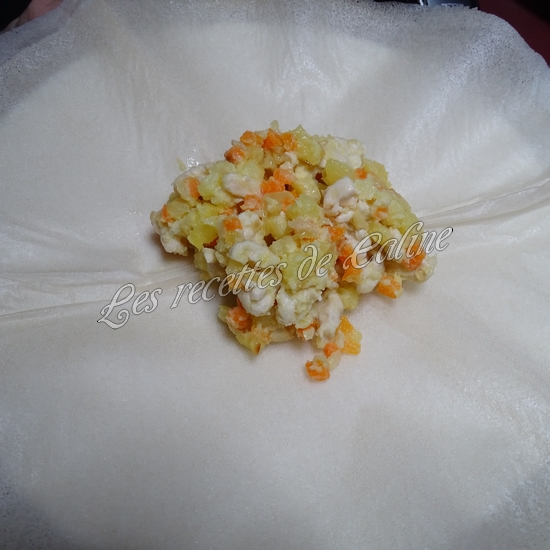 Brick au poulet, pomme de terre et carotte24