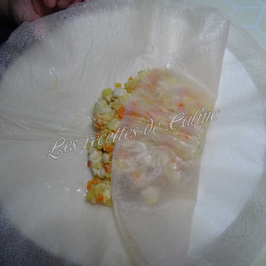 Brick au poulet, pomme de terre et carotte25