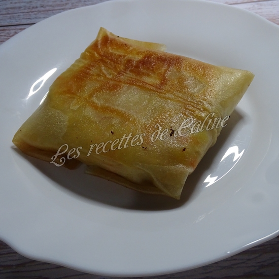 Brick au poulet, pomme de terre et carotte30