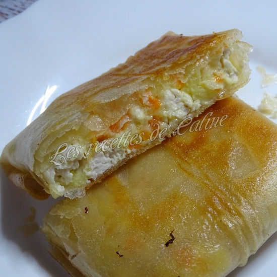 Brick au poulet, pomme de terre et carotte31