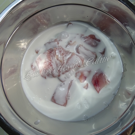 Brochettes de volaille au lait de coco03