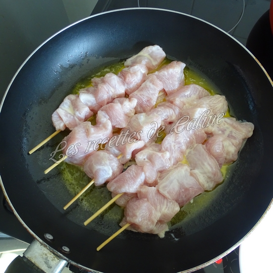 Brochettes de volaille au lait de coco09