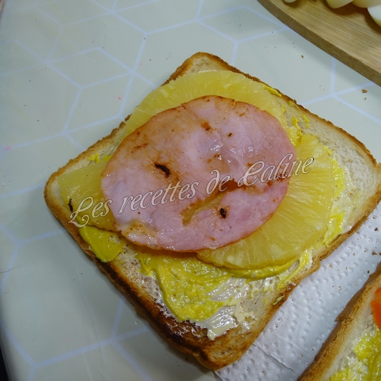 Club sandwich multico06