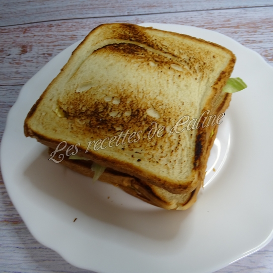 Club sandwich multico17