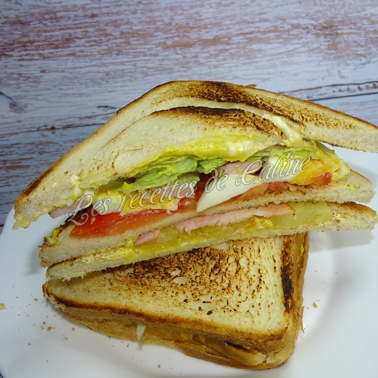 Club sandwich multico20