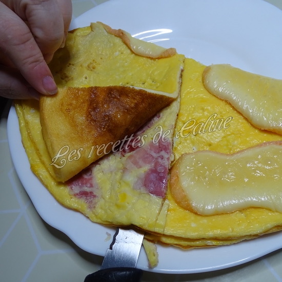 galette d'omelette au fun pizza19