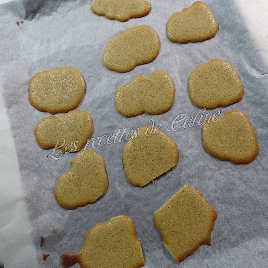 Langues de chat au mélange pain d'épices12