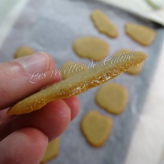 Langues de chat au mélange pain d'épices13