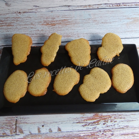 Langues de chat au mélange pain d'épices15